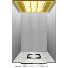 Ascensor de Villa Og Shandong Fjzy Elevator Co., Ltd